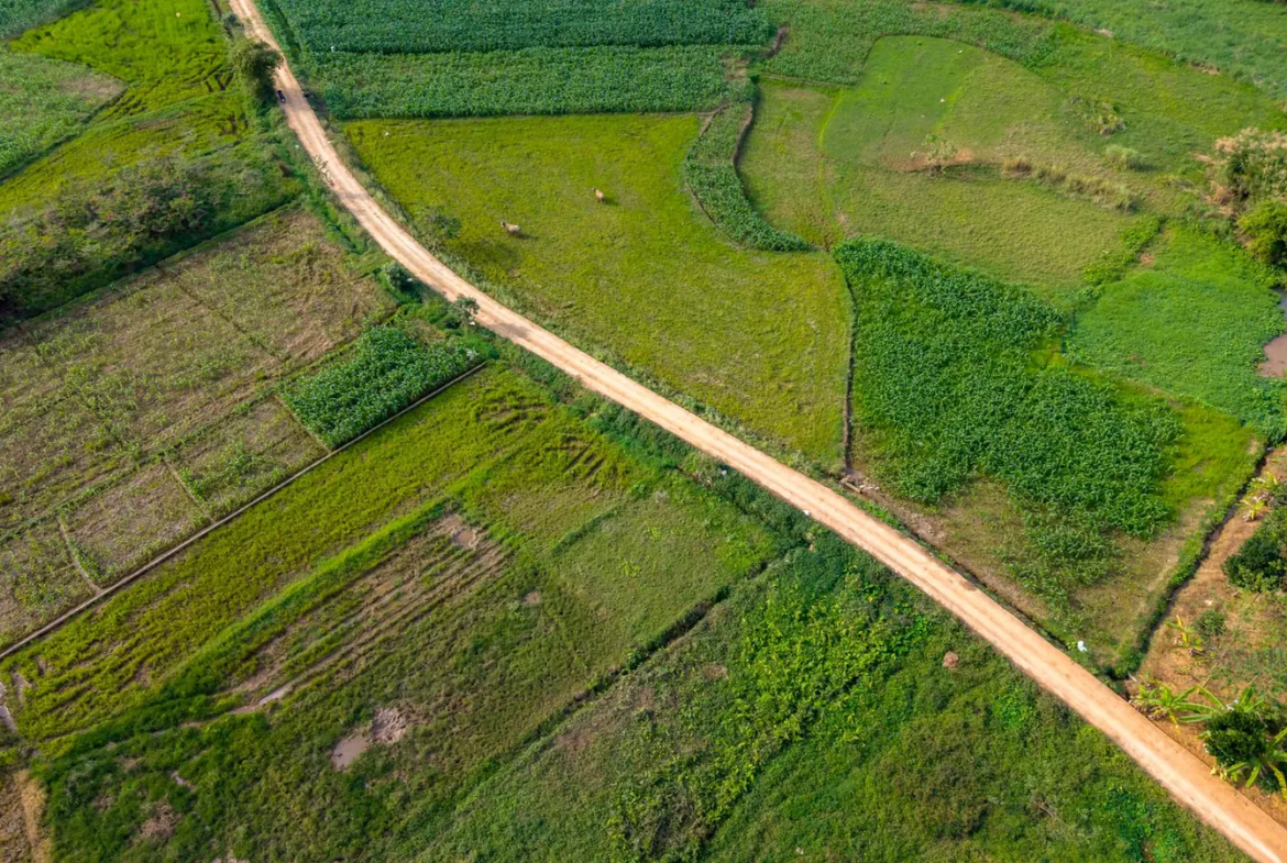 Balik Pulau Development Land