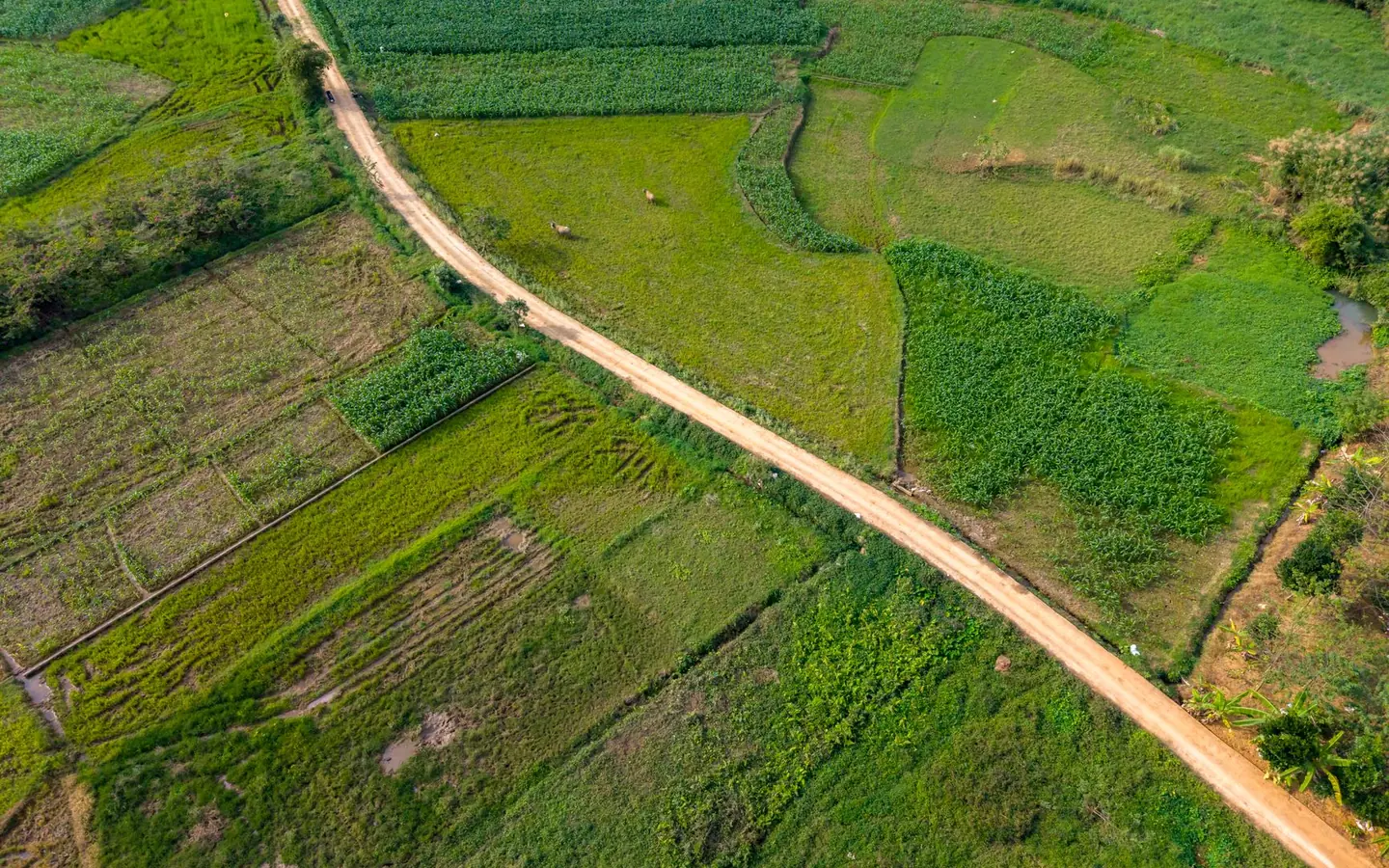 Balik Pulau Development Land
