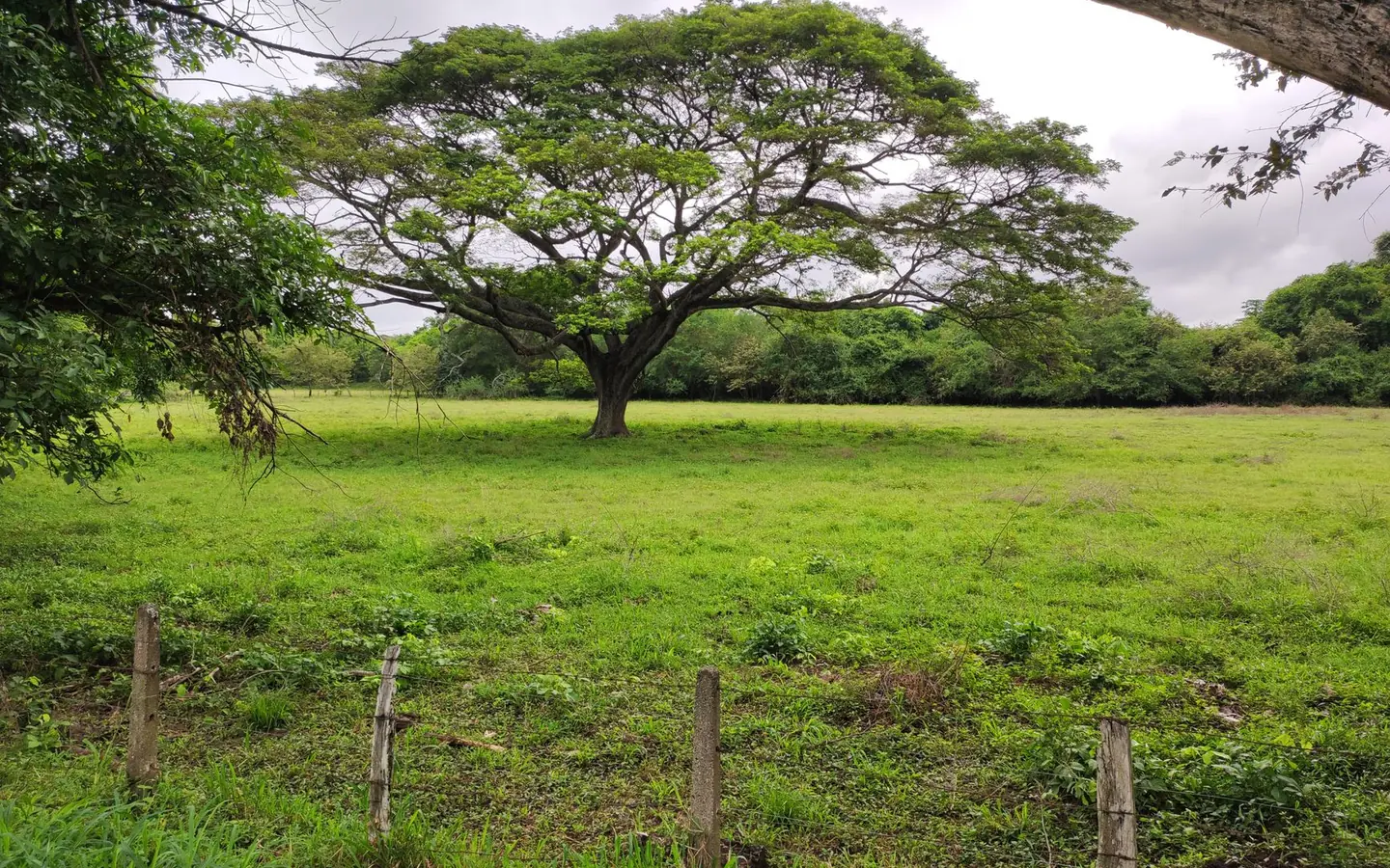 TERA037-03 Sungai Ara Residential Land