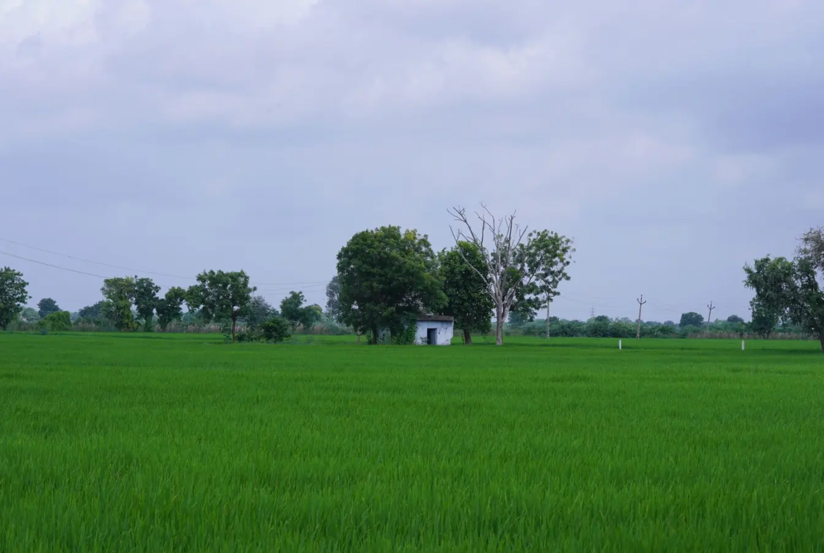 Batu Maung Waterfront Development Land