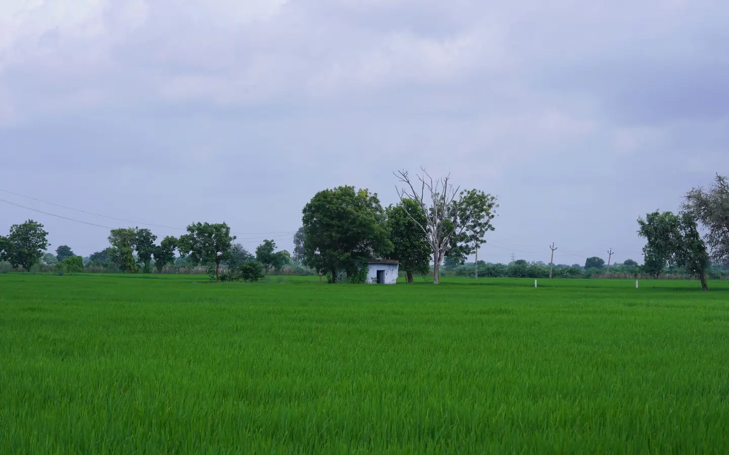 Batu Maung Waterfront Development Land
